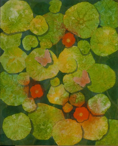 Butterflies, nastursiums and me